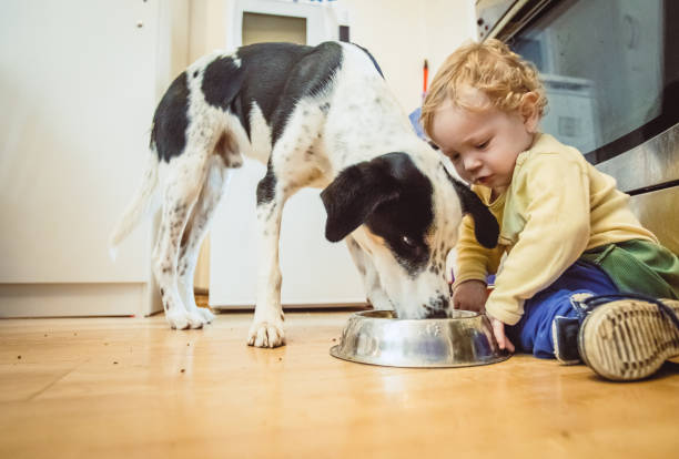 istock Toddler Playing in The Kitchen With a Pet Dog 936120650