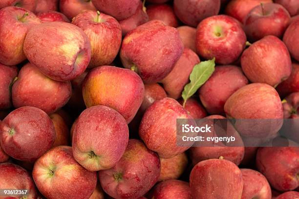 Erntezeit Für Äpfel Stockfoto und mehr Bilder von Apfel - Apfel, Apfelsorte Red Delicious, Bildhintergrund