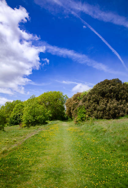 사우스 다운스 이스트 본 섹스 사우스 이스트 잉글랜드 영국 근처 방법 국가 가신 - dirt road national park south downs footpath 뉴스 사진 이미지