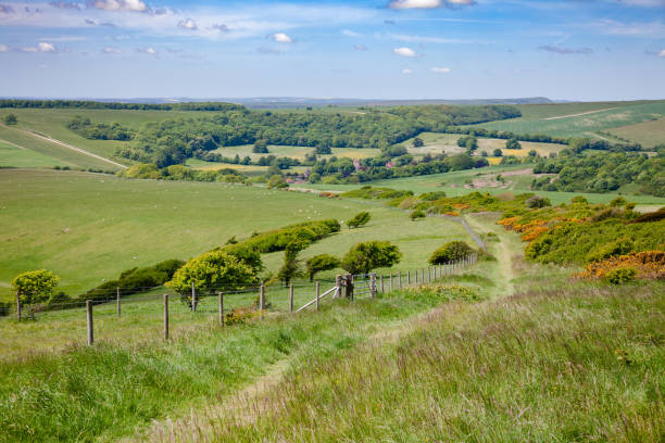 south downs way national trail nel sussex sud inghilterra regno unito - bridle path foto e immagini stock