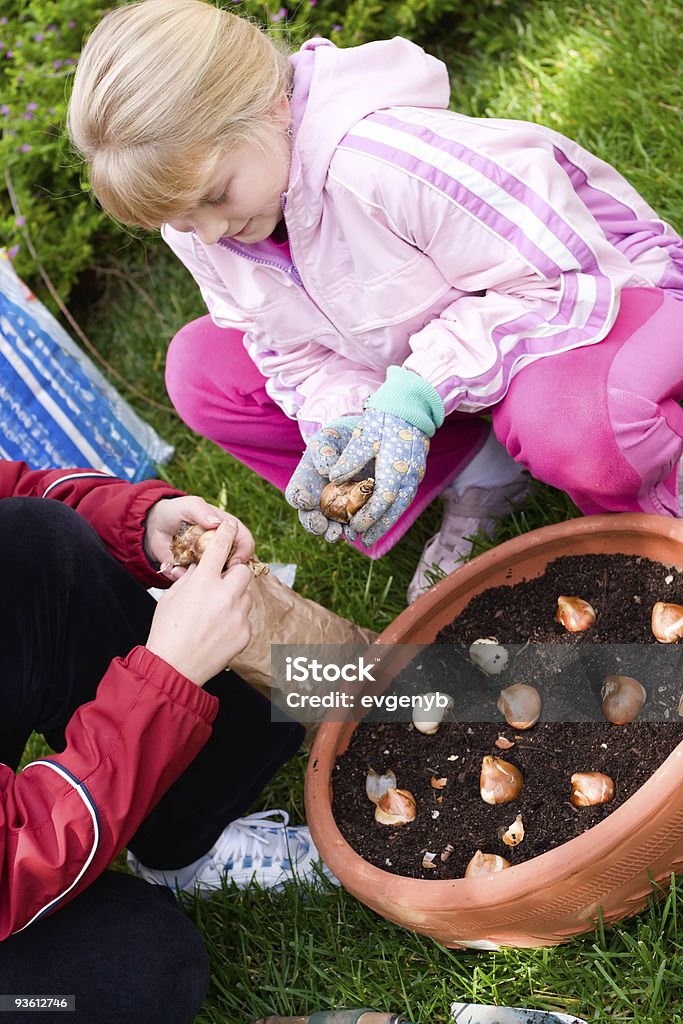 Mother and daughter planting tulips  Plant Bulb Stock Photo