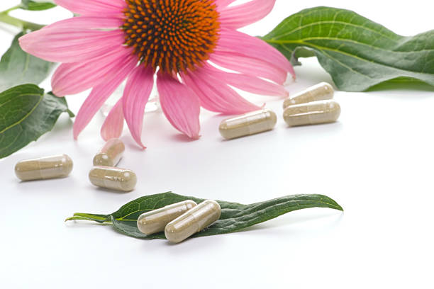 Echinacea capsules stock photo