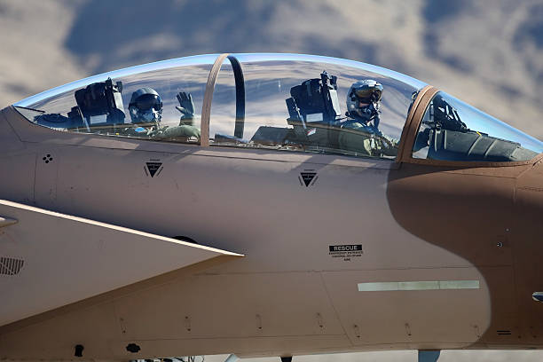 força aérea fighter pilotos - color image people air vehicle airplane imagens e fotografias de stock