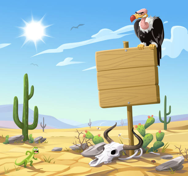 Vulture Sitting On A Wooden Sign In The Desert A vulture sitting on a blank wooden sign in front of a barren desert landscape. In the foreground are rocks, a cow skull and a lizard, and in the background are hills and mountains, cactuses and a bright, hot sun in a cloudy blue sky. Vector illustration with space for text. barren cow stock illustrations