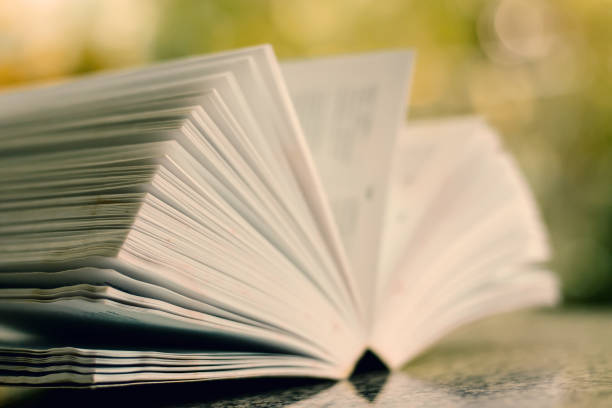 istock Selective focus of opened book on blurred natural green background 936147184