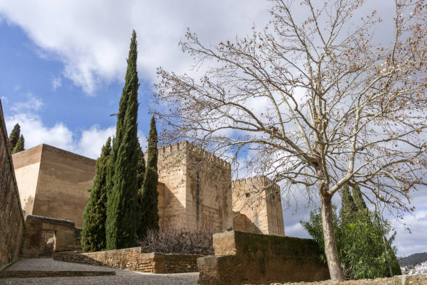 istock alhambra had an outdoor alcaza 936147296
