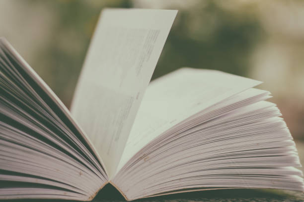 istock Selective focus of opened book on blurred natural green background 936147314