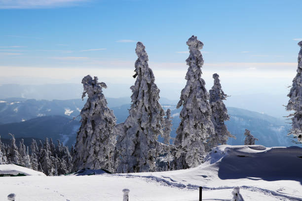 istock A View from Lysa hora on trees and mountains around me 936149576