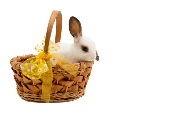 istock Easter bunny in basket with yellow bow. 936151216