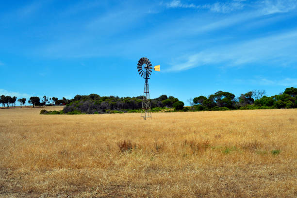 istock Australia, WA, Agriculture 936157232