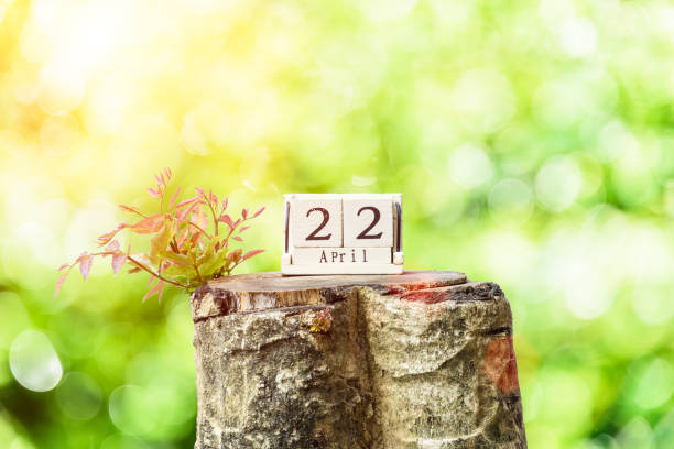 istock Earth Day and New Life concept. 936160078
