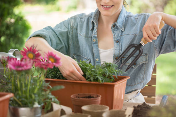 istock Close-up of female gardener 936176714