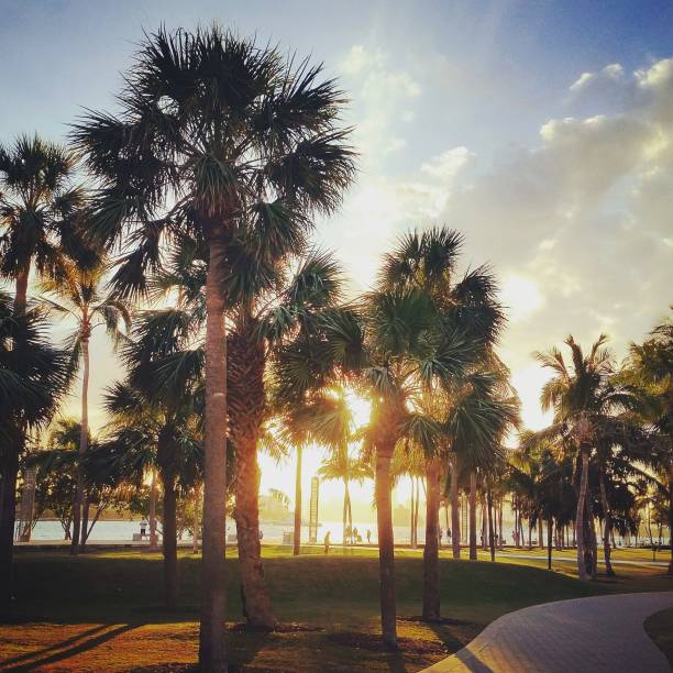 istock Miami Spring South Beach Sunset in Tropical Travel Destination 936177564