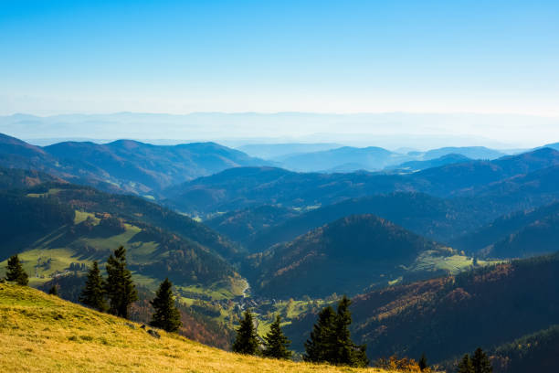 Mt. Belchen, Nature Reserve, Upper Black Forest, Germany
