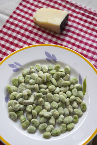 broad beans and roman pecorino traditional italian meal for 1st may day