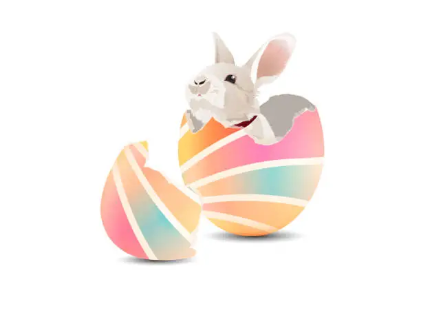 Vector illustration of bunny in colorful easter egg