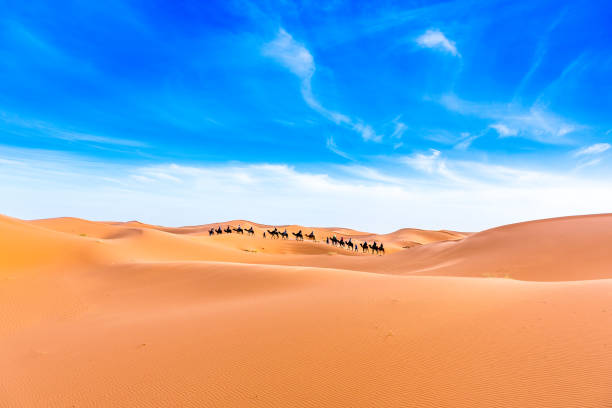 istock Merzouga in the Sahara Desert in Morocco 936201504