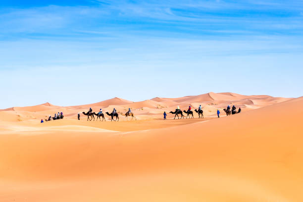 istock Merzouga in the Sahara Desert in Morocco 936203634