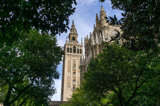istock View of Giralda from orange tree courtyard 936205766