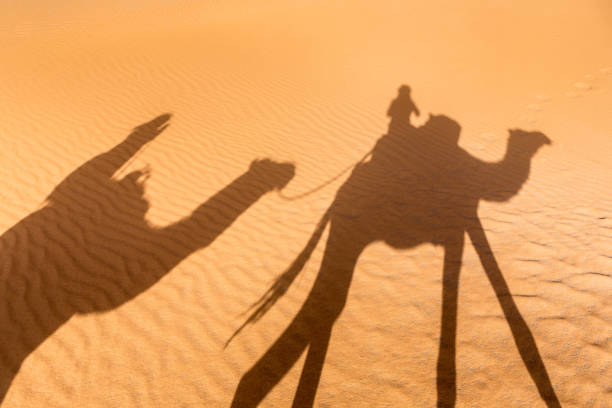 istock Merzouga in the Sahara Desert in Morocco 936205790