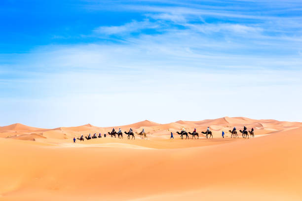 istock Merzouga in the Sahara Desert in Morocco 936207120