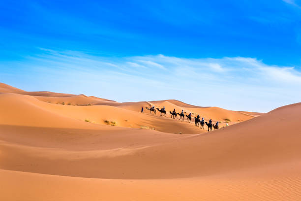 istock Merzouga in the Sahara Desert in Morocco 936207204