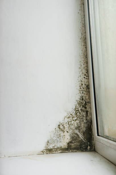 istock Inscription molds on the wall next to the window 936207242
