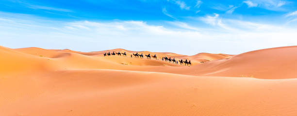 istock Merzouga in the Sahara Desert in Morocco 936207246