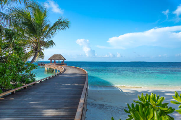 istock Foot path to jetty in Maldives 936213112