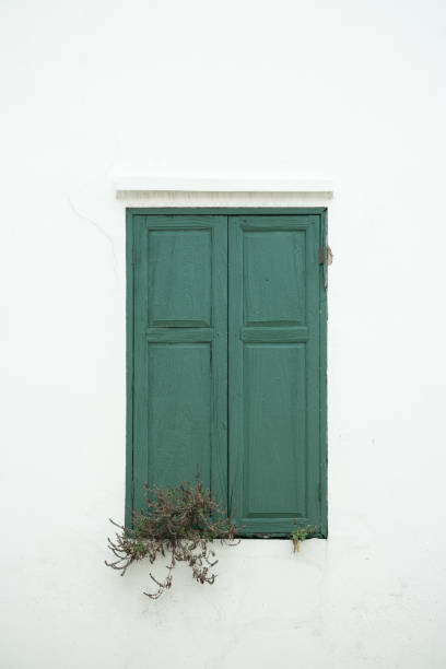 istock Green window on wall  and dried plant. 936223138