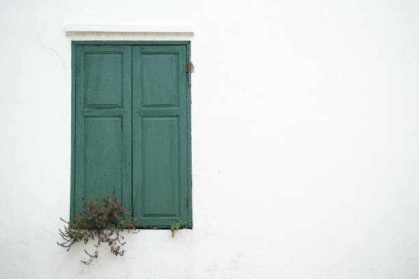 istock Green window on wall  and dried plant. 936223230