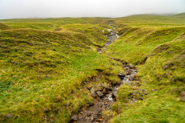 istock Cairngorms National Park, wasteland 936238318