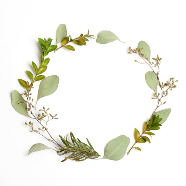 istock Round circle frame made of green branches and leaves on white background. Flat lay, top view 936251606