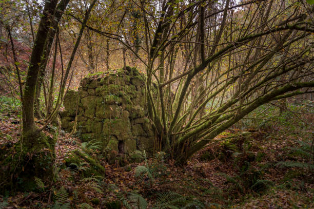 istock Old mill in the forest in Gondomar 936251616