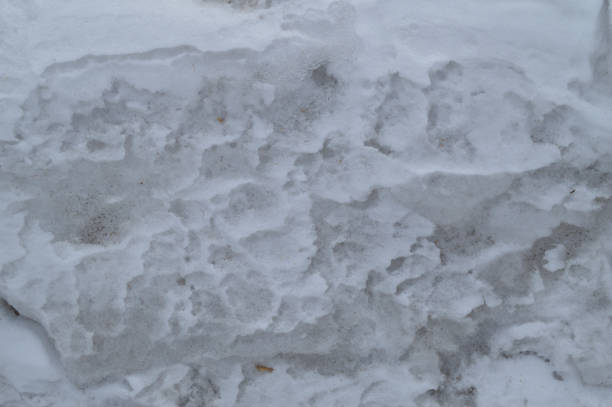 istock Spring background is a dirty loose snow melting outdoors 936258494