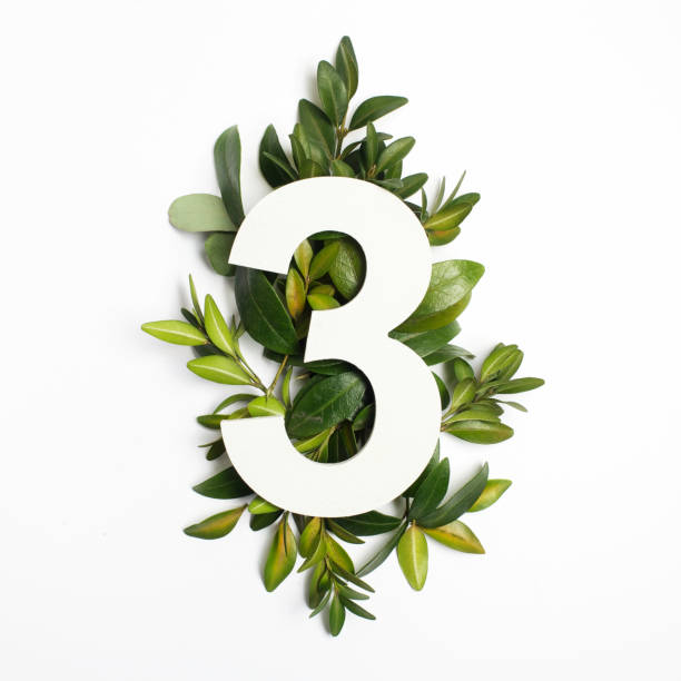 istock Number three shape with green leaves. Nature concept. Flat lay. Top view 936260628