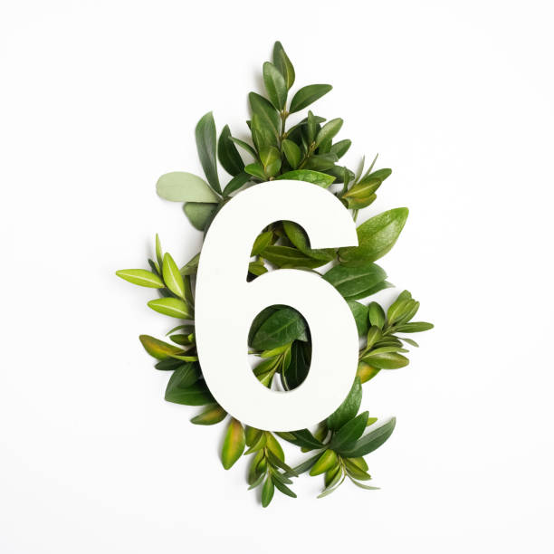 istock Number six shape with green leaves. Nature concept. Flat lay. Top view 936267326