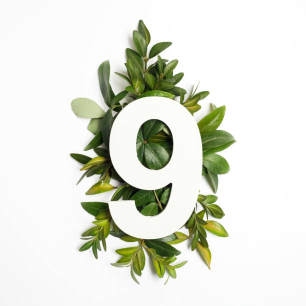 istock Number nine shape with green leaves. Nature concept. Flat lay. Top view 936267476