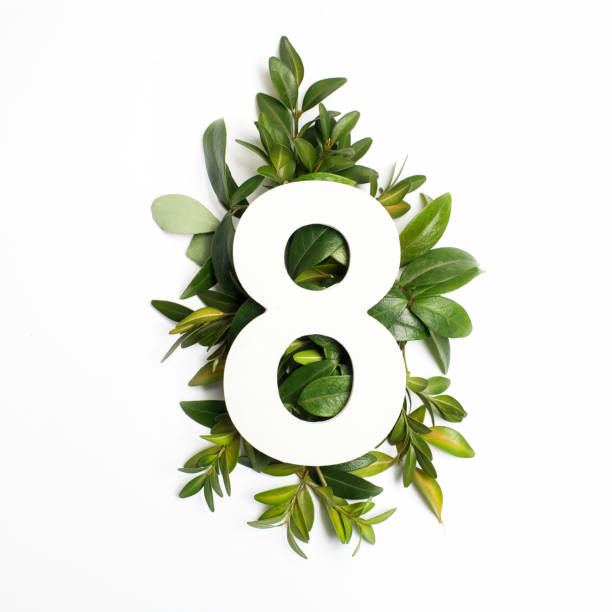istock Number eight shape with green leaves. Nature concept. Flat lay. Top view 936267532