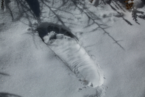 A footprint from the abominable snowman found in the snow.