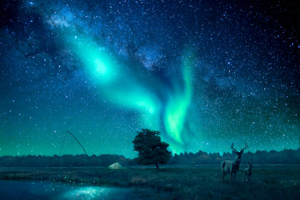 A fantasy landscape with a star filled sky lit by northern lights, a deer and a fawn is standing to the right in the picture. A composition of multiple different images.