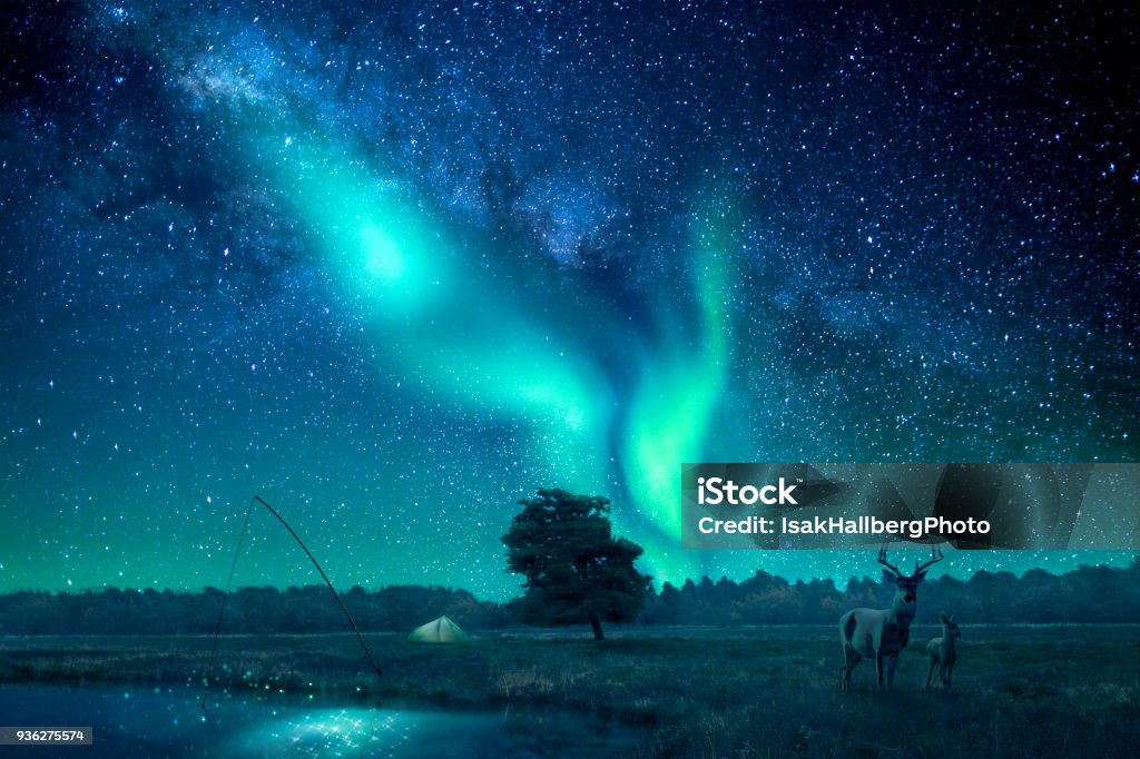 A fantasy landscape lit by northern lights/aurora borealis A fantasy landscape with a star filled sky lit by northern lights, a deer and a fawn is standing to the right in the picture. A composition of multiple different images. Aurora Borealis Stock Photo