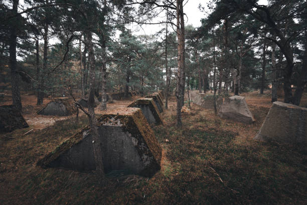 istock A dark moody forest with several old tank traps/relics 936276422