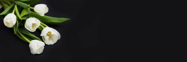istock Tulip flowers on the black background 936278492