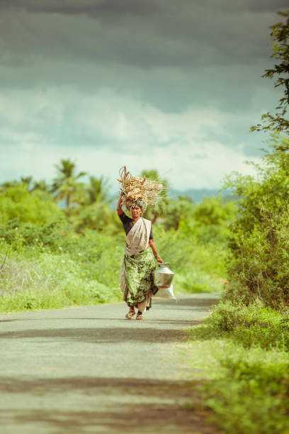 istock Indian women walking with carrying dry sticks 936281218