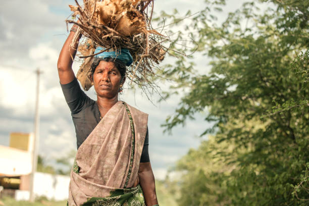 istock Indian women carrying dry sticks 936281236