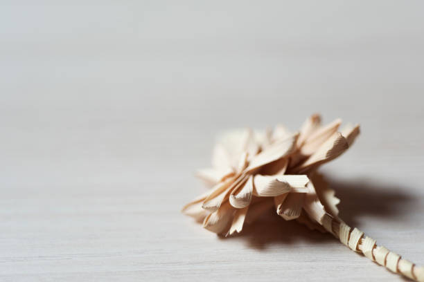 Dried seed pods,palm leaf,and grass on a reed/bamboo background with copy space