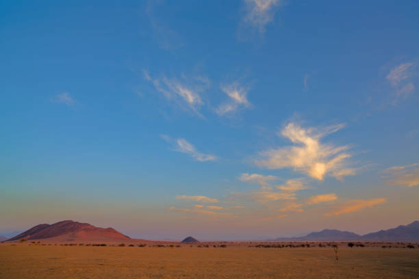 istock Morning light in the Namib Desert 936287402