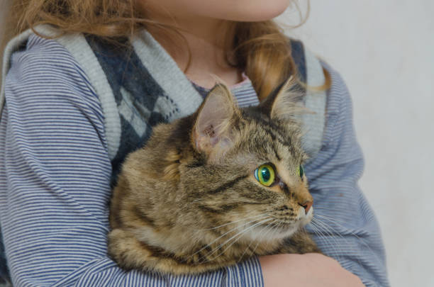 istock child, girl with a cat in her arms 936292984