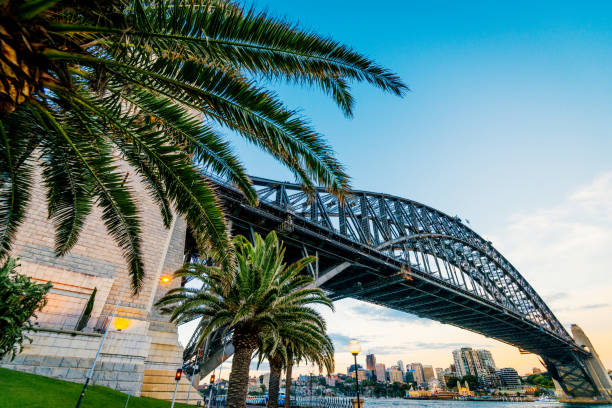 istock Wide angle view on Sydney Harbour bridge during summer evening 936299044
